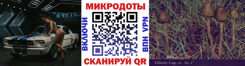Галлюциногенные грибы MAGIC MUSHROOMS  как найти наркотики  Бутурлиновка 