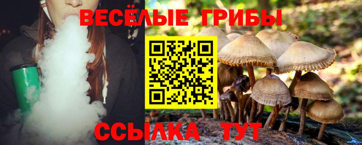Галлюциногенные грибы Psilocybine cubensis  Вход с VPN  Бутурлиновка 