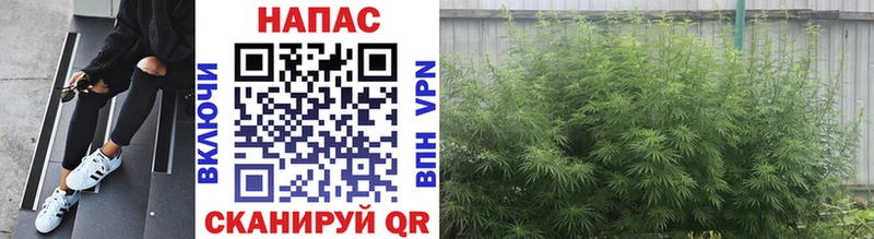Канабис индика  Бутурлиновка 